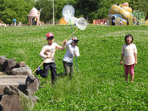 レッツ久宝探検隊自然観察ゾーン再生プロジェクト6月23日（日）