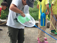 レッツ久宝探検隊「昆虫観察会〜不思議な昆虫の世界へようこそ」9月25日（日）