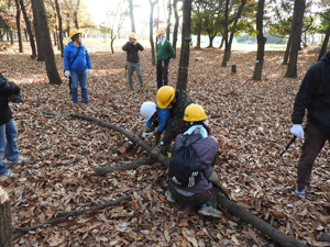 12月18日 レッツ久宝探検隊「モッパちゃんの森」（自然学習ゾーン）再生プロジェクト「樹木の間伐伐採と虫の寝床作り」