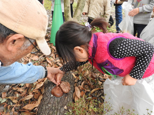 3月26日（日）レッツ久宝探検隊「シイタケの菌打ち」
