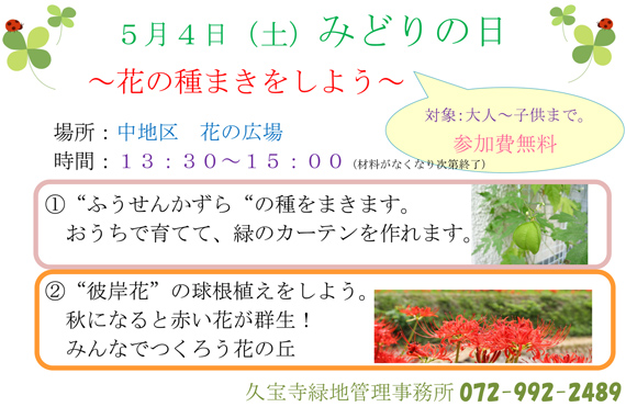 みどりの日 花の種まきをしよう 大阪府営5公園ポータル いこいこ おおさかの公園 イベント 大阪府営5公園ポータル いこいこ おおさかの公園