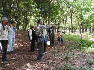 5月28日（日）レッツ久宝探検隊「樹木観察会」