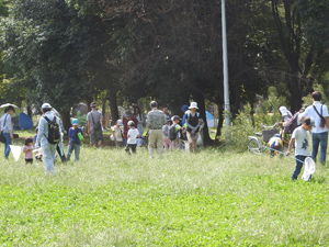 9月24日（日）レッツ久宝探検隊「昆虫観察会」
