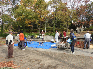 レッツ久宝探検隊「花の道で木を切ってみよう」11月26日