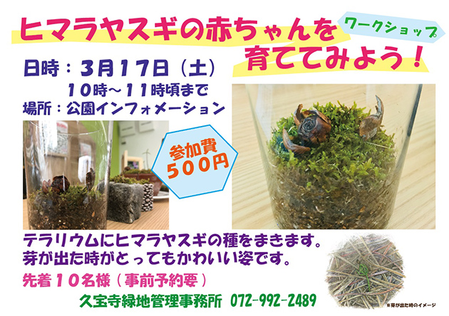 ワークショップ「どんぐりを育ててみよう!」