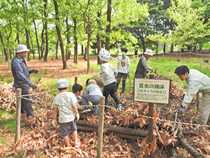 春の野草観察会 と カブトムシの調査（レッツ久宝探検隊）