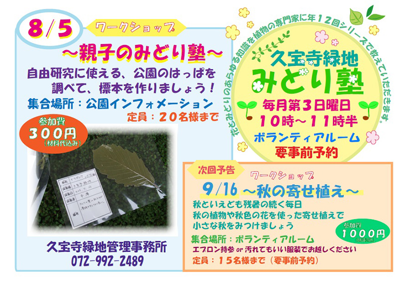 久宝寺緑地「みどり塾」 ~親子のみどり塾 自由研究に使える公園の葉っぱ