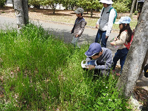 レッツ久宝探検隊「春の自然を覗いて見よう」4月28日（日）