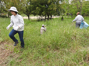 レッツ久宝探検隊 自然学習ゾーン再生プロジェクト2019年4月28日（日）