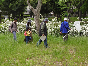 レッツ久宝探検隊 自然学習ゾーン再生プロジェクト2019年4月28日（日）