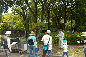 レッツ久宝探検隊「樹木とあそぼう」5月26日（日）