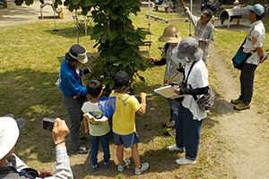 レッツ久宝探検隊「樹木とあそぼう」5月26日（日）