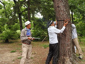 レッツ久宝探検隊「樹名板を作ろう」6月23日（日）