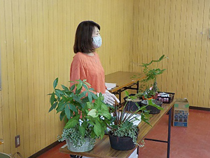 みどり塾「観葉植物の寄植え」レポート