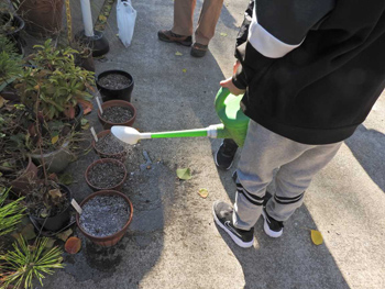 レッツ久宝探検隊 丸太切り体験：モッパちゃんの森に植える木の種まき