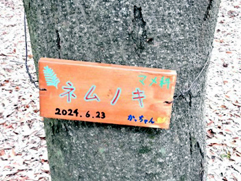 取り付けられた樹名板