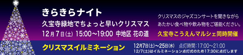 久宝寺緑地でちょっと早いクリスマス　きらきらナイトバナー画像