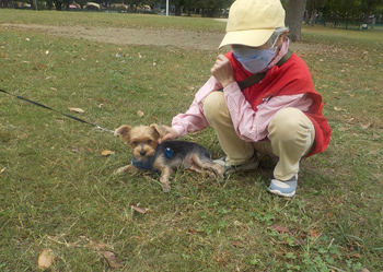 参加されたわんちゃんと飼い主さん