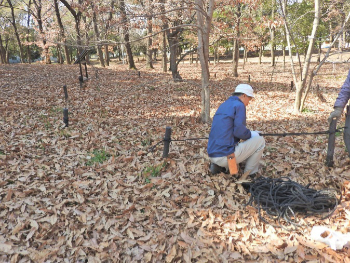 昆虫保護エリアやギャップエリアの杭やロープ補修作業の様子