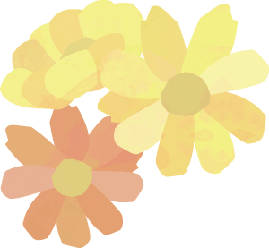 キバナコスモスのイラスト