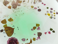 アート展「さやめきがとまるとき、そのなかで」3月10日スタート アート展「さやめきがとまるとき、そのなかで」3月10日スタート