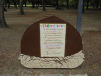 秋の緑地とふれあう30days 秋の緑地とふれあう30days