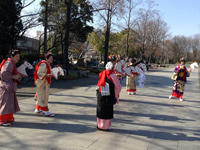 「節分祭」での「春駒」って?
