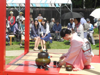 久宝寺緑地シャクヤク園 久宝寺緑地シャクヤク園