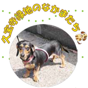 名前：ノエル　２才