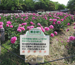 久宝寺緑地しんぶん Vol.25