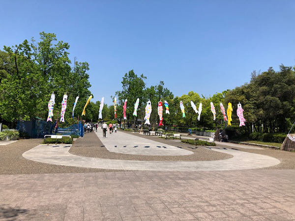 こいのぼり