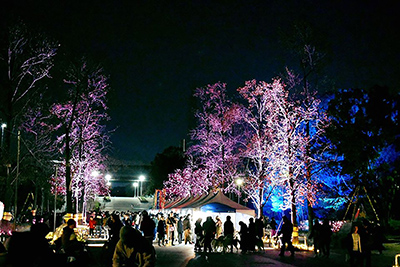 きらきらナイト＆久宝寺公園マルシェ