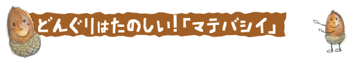 どんぐりはたのしい！「マテバシイ」