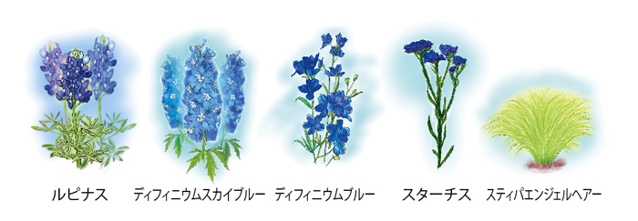 宿根草の青い花たちのいろんな青のハーモニー