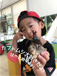 カブトムシ大好きだよ!