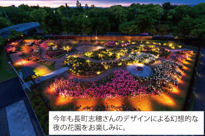 今年も長町志穂さんのデザインによる幻想的な夜のシャクヤク園画像