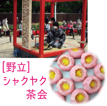 [野立]シャクヤク茶会：茶会の様子と和菓子の画像