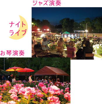 ナイトライブの様子：ジャズ演奏とお琴演奏の画像