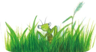 草地に潜むカマキリイラスト