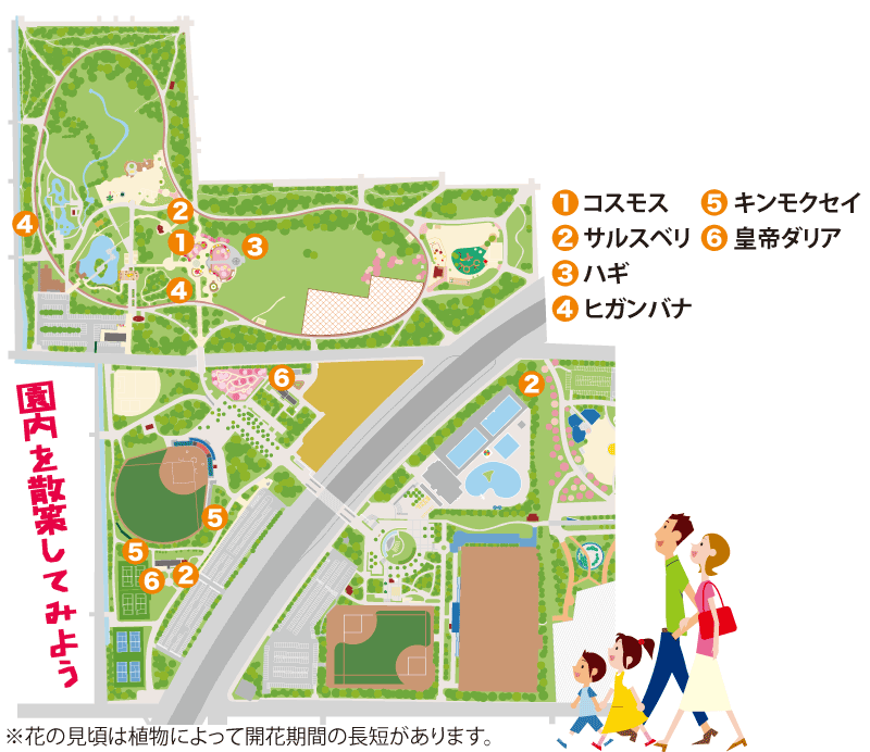 園内図：1.コスモス　2.サルスベリ　3.ハギ　4.ヒガンバナ　5.キンモクセイ　6.皇帝ダリア