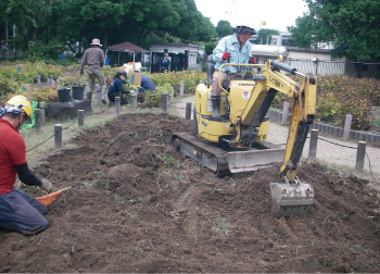 シャクヤク園工事の様子