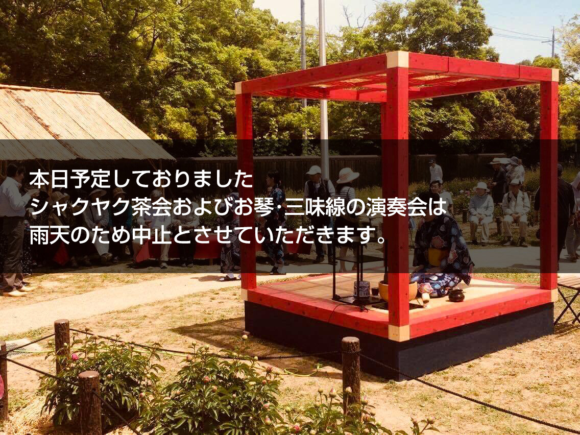 シャクヤク茶会、お琴・三味線演奏会は雨天のため中止（画像）