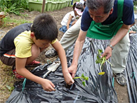やんちゃクラブQFO「サツマイモを植えよう・笛を作ろう」 やんちゃクラブQFO「サツマイモを植えよう・笛を作ろう」