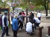 大阪ピンコロ・クラブ「うんどう教室(11月10日)」 大阪ピンコロ・クラブ「うんどう教室(11月10日)」