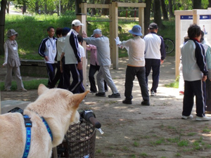 大阪ピンコロ・クラブ「うんどう教室（5月10日）」