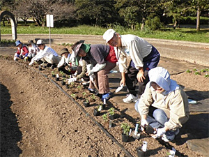 Q'sガーデニングクラブさんの花壇活動