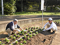 Q'sガーデニングクラブさんの花壇活動