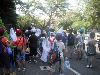“河内長野市イベント”くろまろキッズ全員集合 虫博士になろう