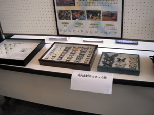 「ミュージパークフェスタ2014」レポート