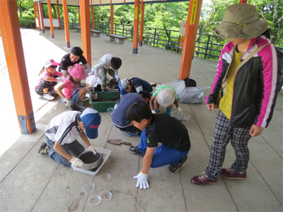 “駅前子ども教室” 地下の生き物調査 レポート